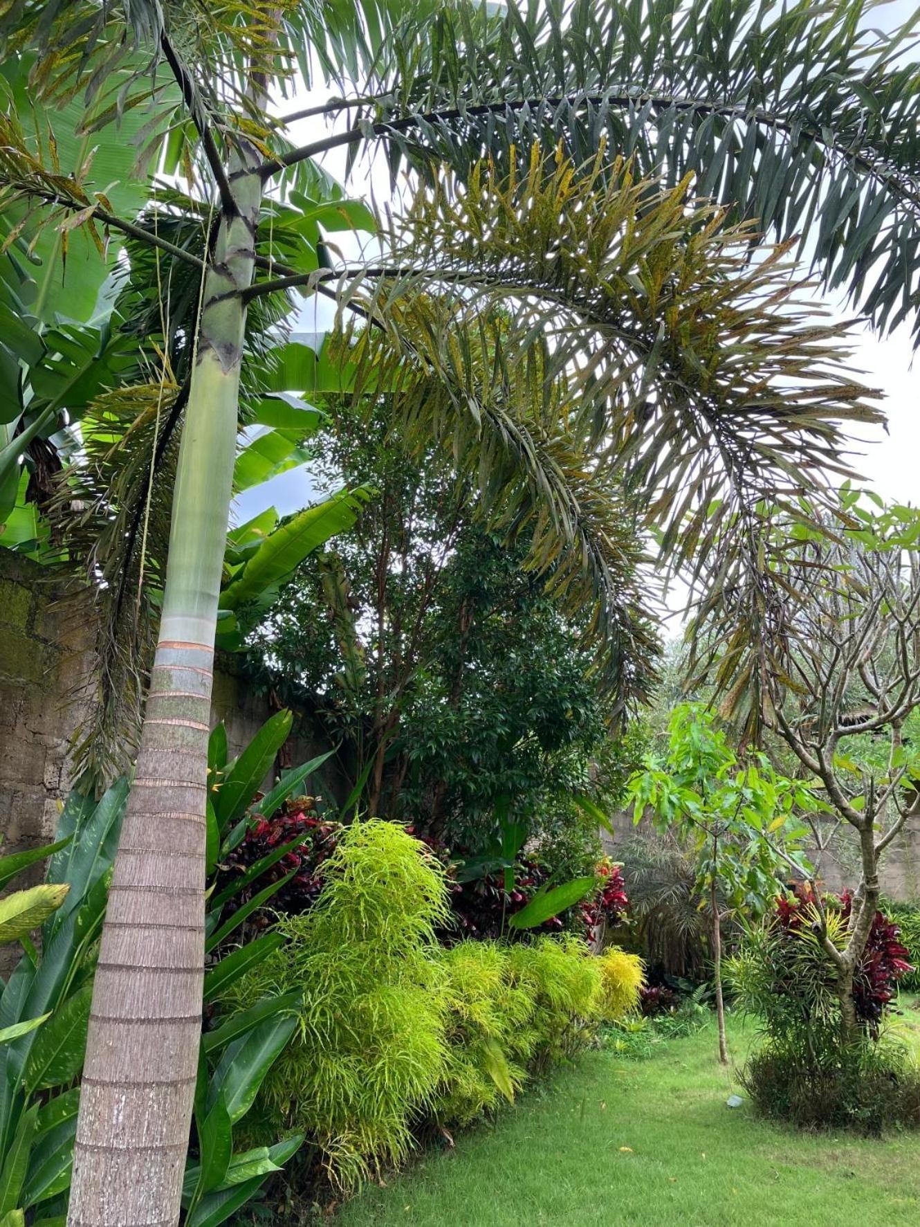 Villa Kelana Sidemen  Ngoại thất bức ảnh