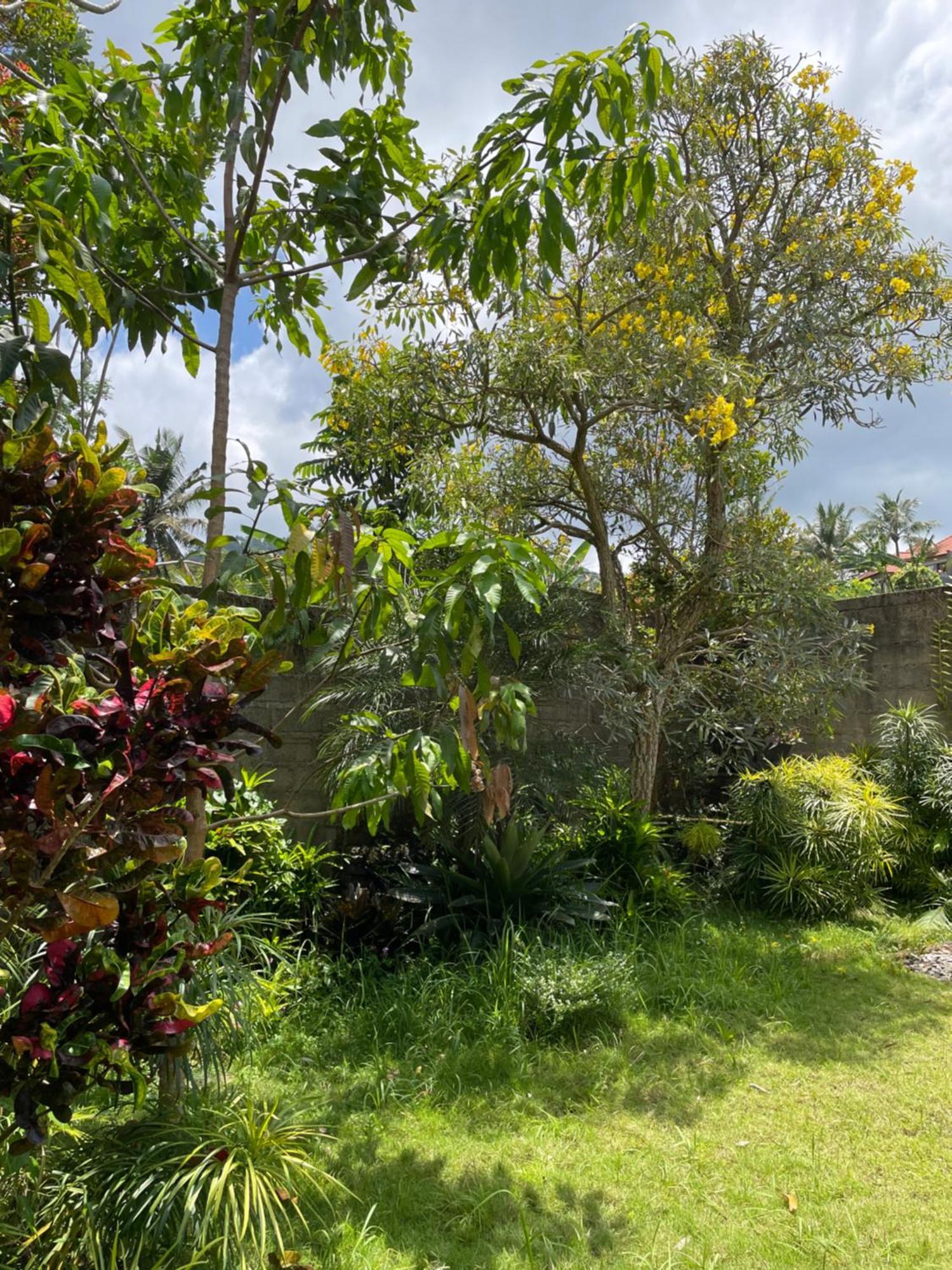 Villa Kelana Sidemen  Ngoại thất bức ảnh